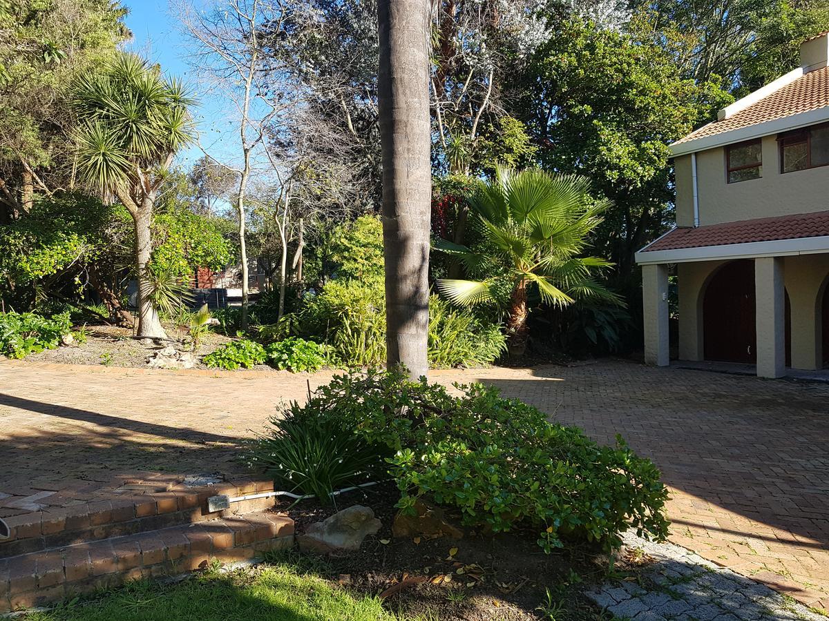 Te Amo Guesthouse Stellenbosch Exteriör bild