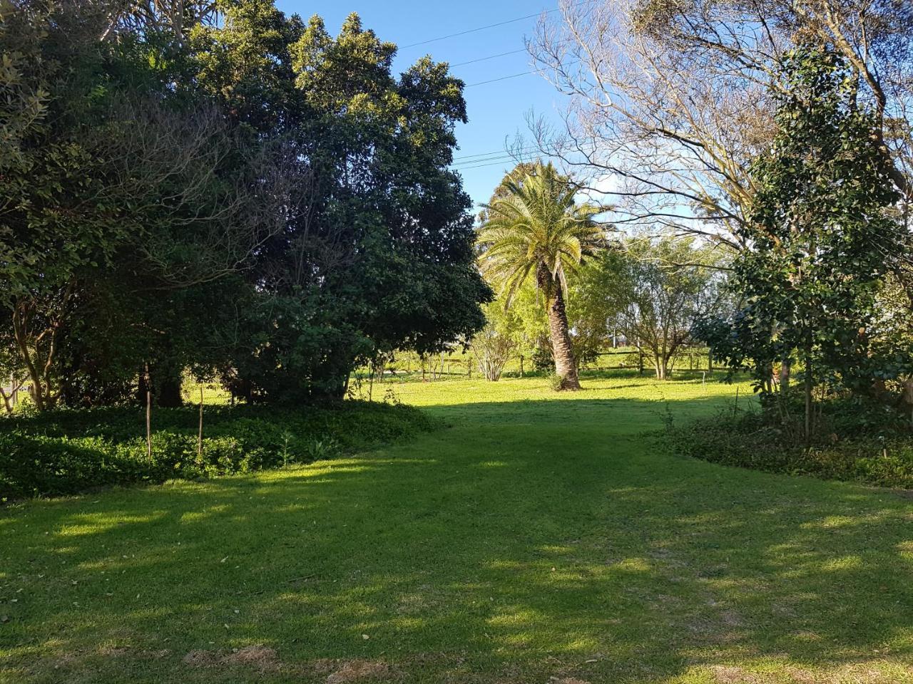 Te Amo Guesthouse Stellenbosch Exteriör bild