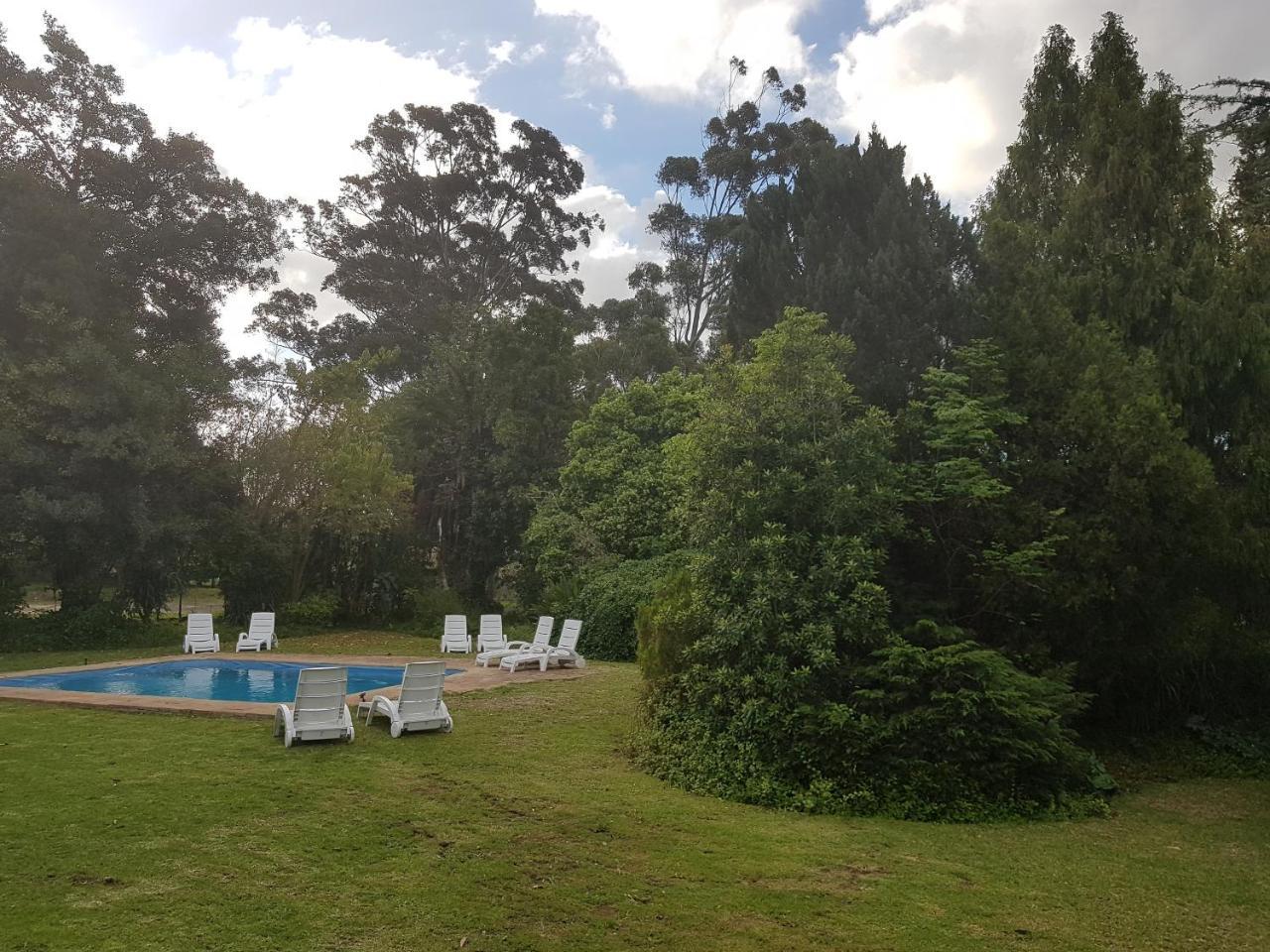 Te Amo Guesthouse Stellenbosch Exteriör bild
